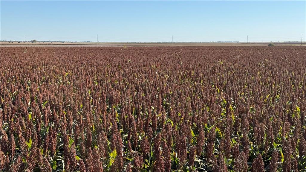 24 Road Fowler, KS 67844 - Photo 7 of 8