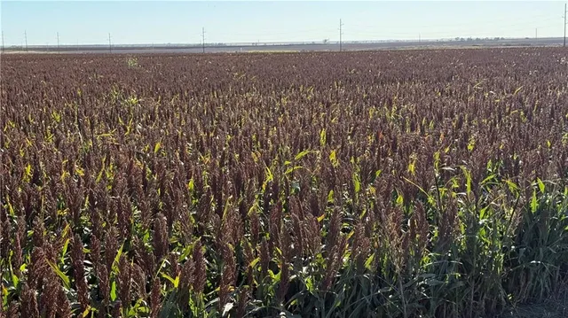 $447,000 | 24 Road Other Ks 67841, Other, KS 67841