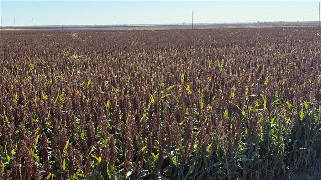 24 Road Fowler, KS 67844 - Photo 8 of 8