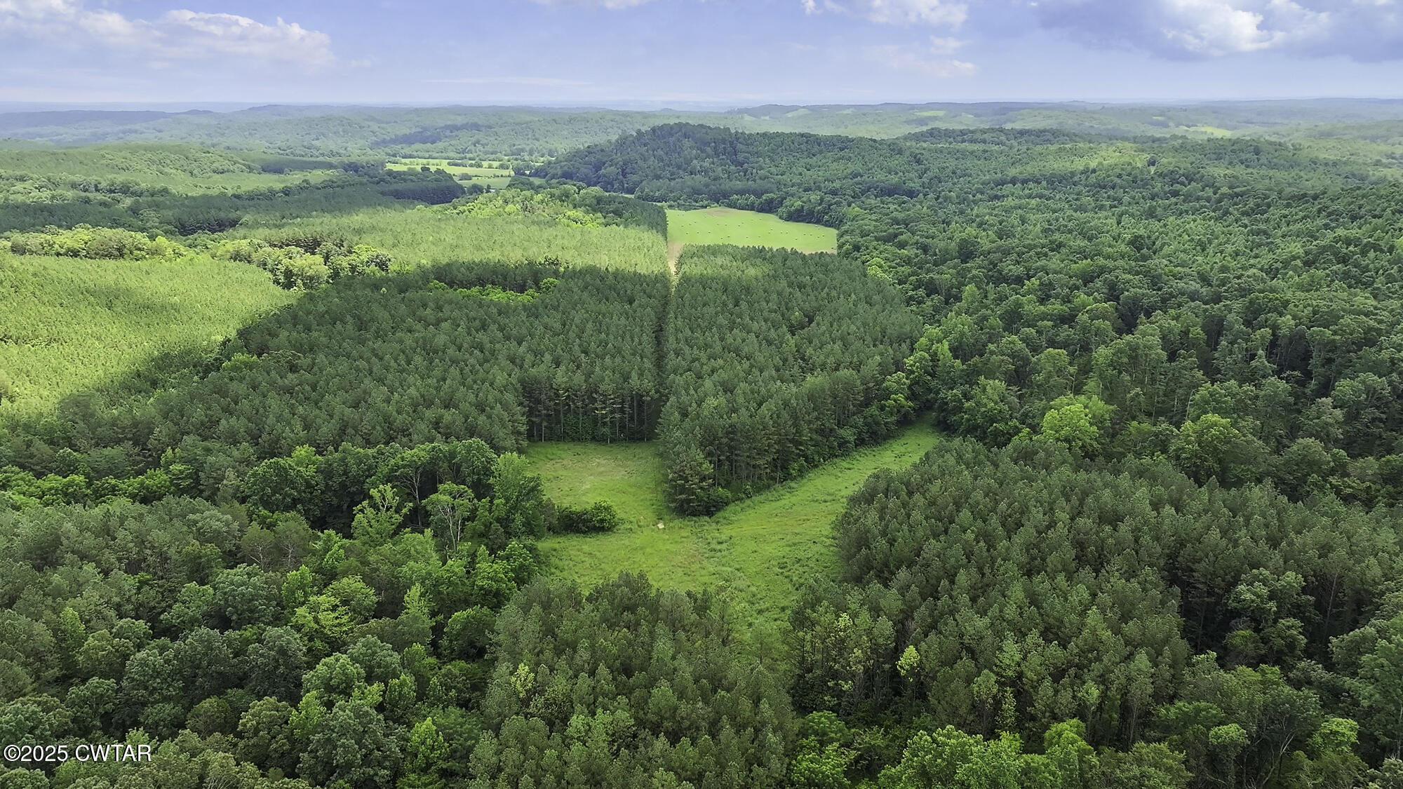 13250 Mt Carmel Road Decaturville, TN 38329 - Photo 8 of 66 DJI_20250701132525_0587_D.MP4_snapshot_0