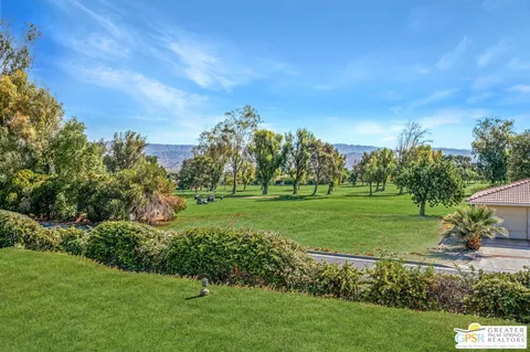 a view of a park with large trees