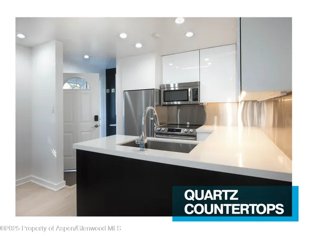 $8,995 | 805 East Cooper Avenue, Unit 2, Aspen, CO 81611