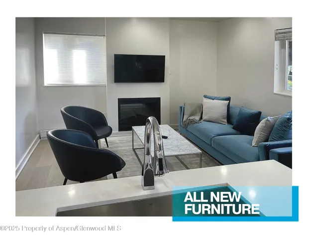 $8,995 | 805 East Cooper Avenue, Unit 2, Aspen, CO 81611