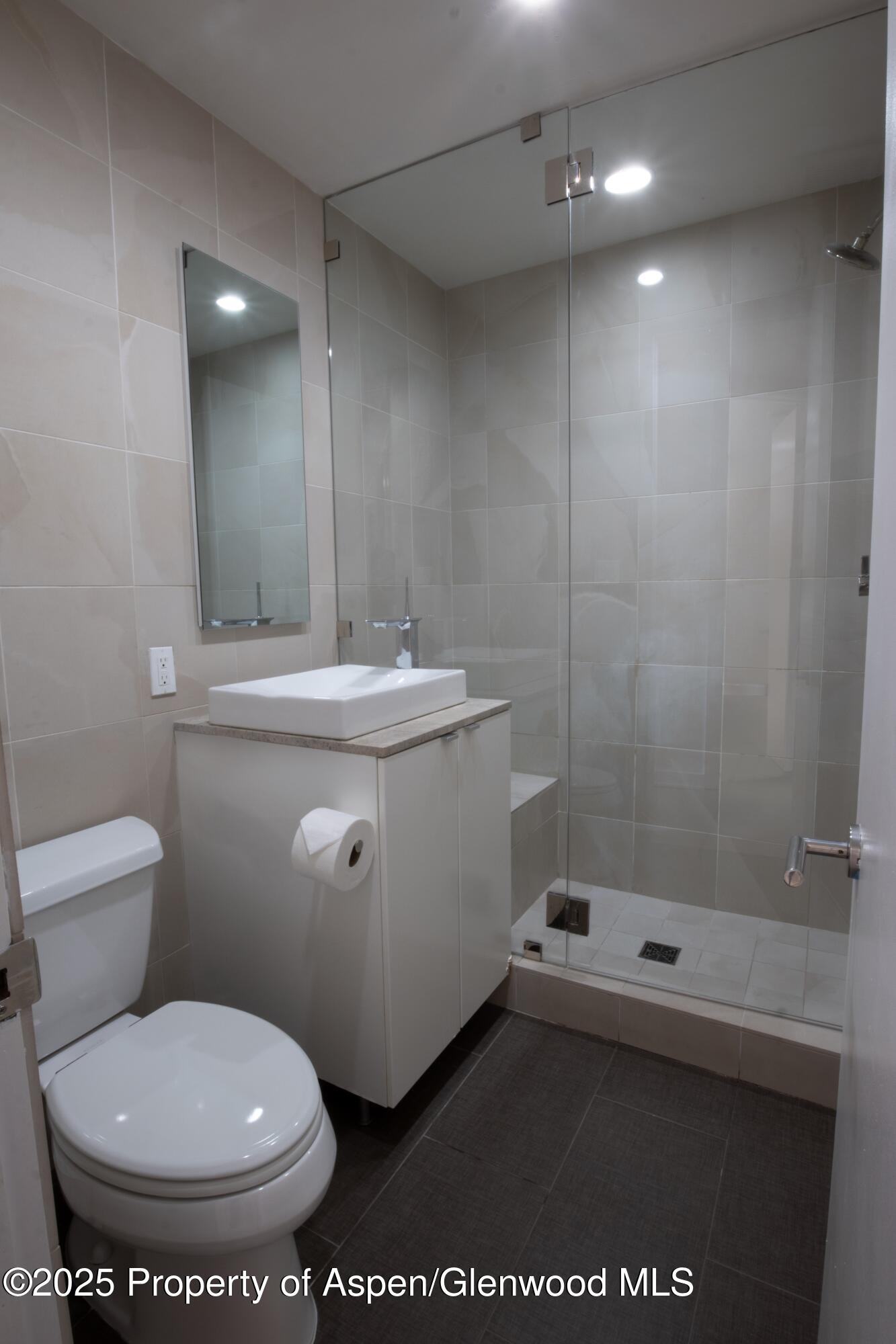 805 East Cooper Avenue, Unit 2 Aspen, CO 81611 - Photo 4 of 9 Bath `