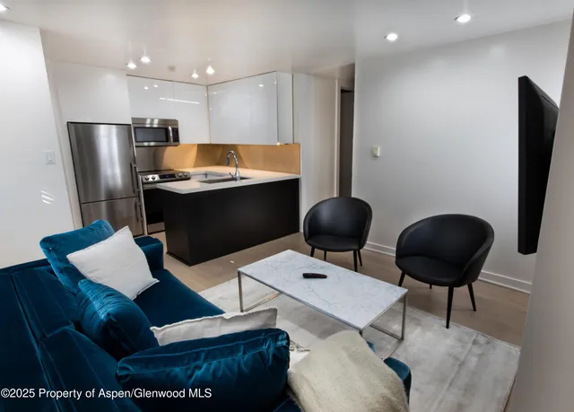 $8,995 | 805 East Cooper Avenue, Unit 2, Aspen, CO 81611