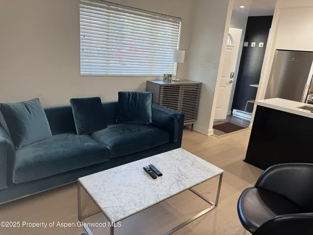 $8,995 | 805 East Cooper Avenue, Unit 2, Aspen, CO 81611