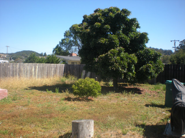 405 Berry Road Watsonville, CA 95076 - Photo 24 of 25