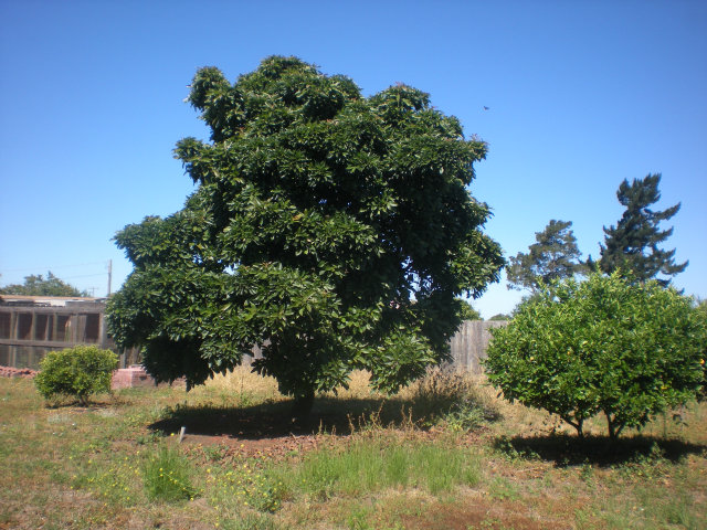 405 Berry Road Watsonville, CA 95076 - Photo 25 of 25