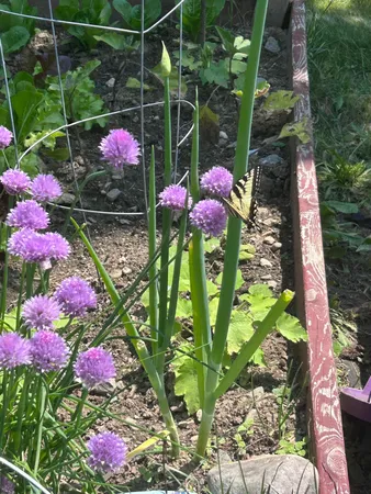 $470,000 | 376 Main Street North, Searsmont, ME 04973