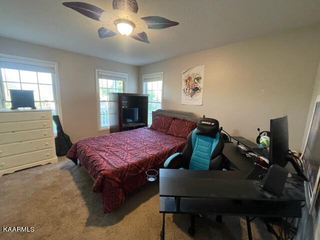 1767 Meadow Ridge Circle Sevierville, TN 37862 - Photo 25 of 37 IMG_2071 - Copy