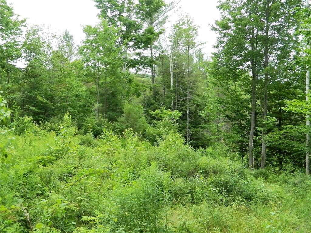 Lot 4 New Settlement Road Hiram, ME 04041 - Photo 7 of 10 Photo