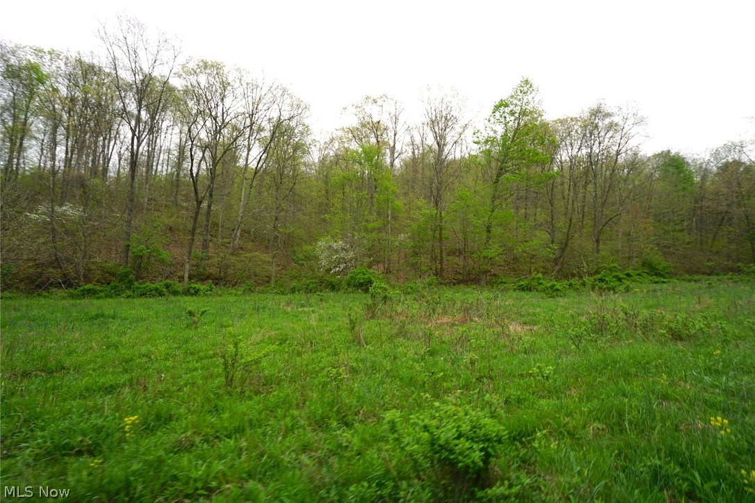 Dutch Creek Road Athens, OH 45701 - Photo 12 of 28