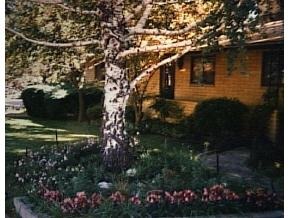 Primary Photo