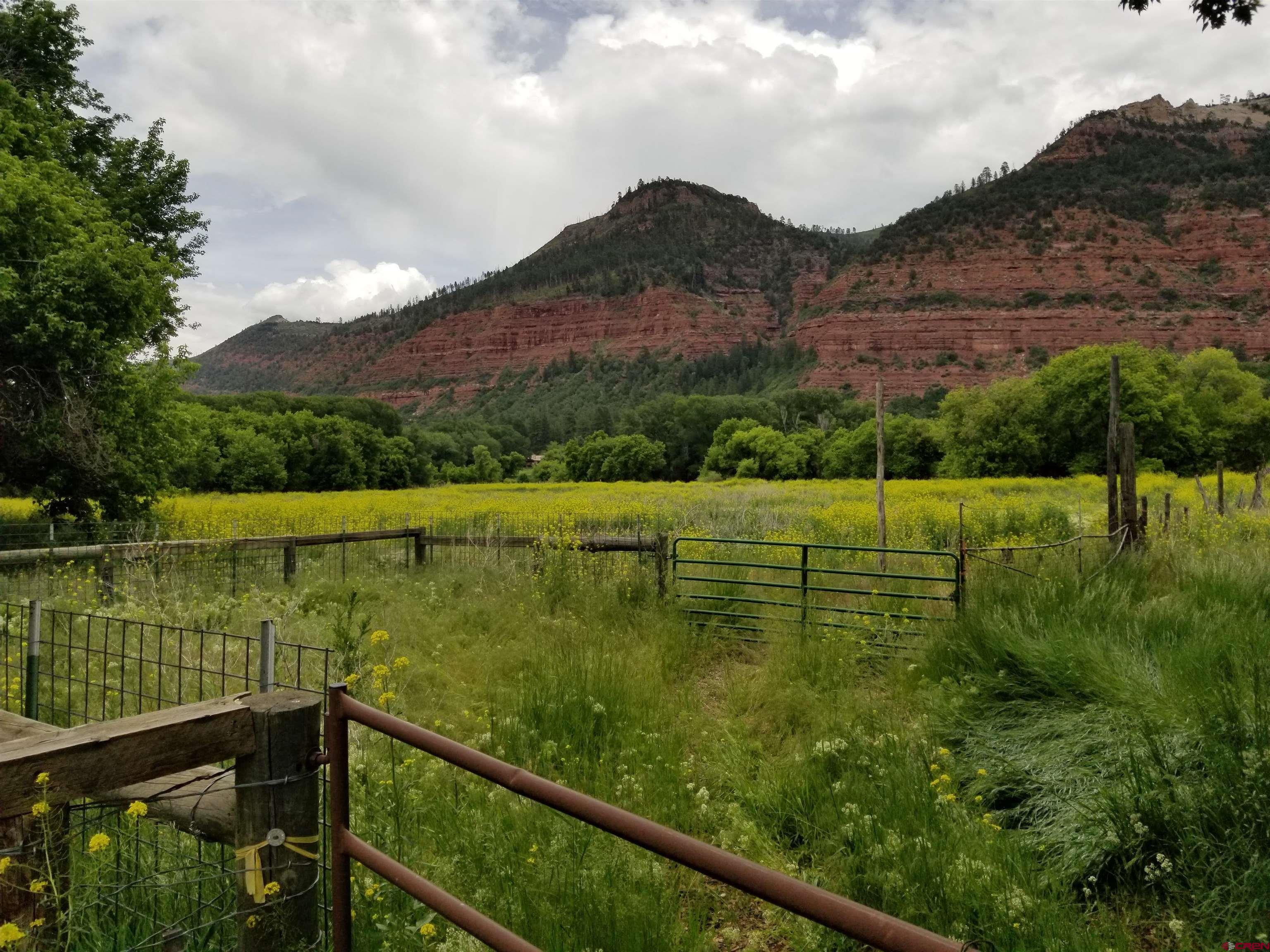 3705 County Road 250 Durango, CO 81301 - Photo 14 of 34