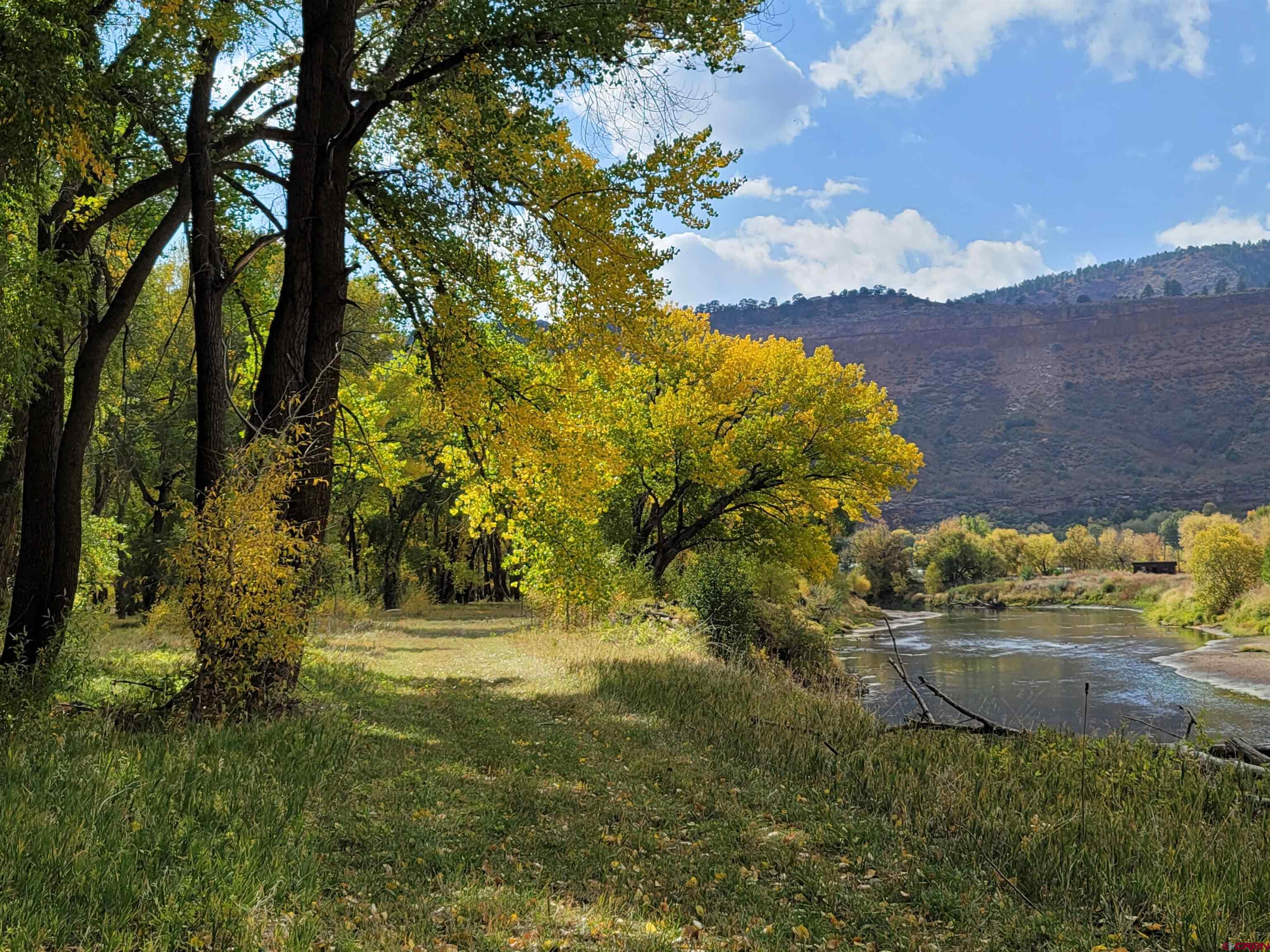 3705 County Road 250 Durango, CO 81301 - Photo 15 of 34 a view of outdoor space and yard
