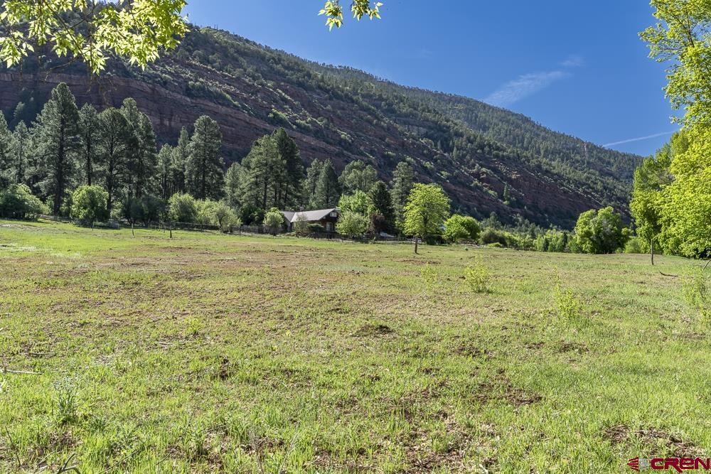 3705 County Road 250 Durango, CO 81301 - Photo 18 of 34 a backyard of a house with lots of green space