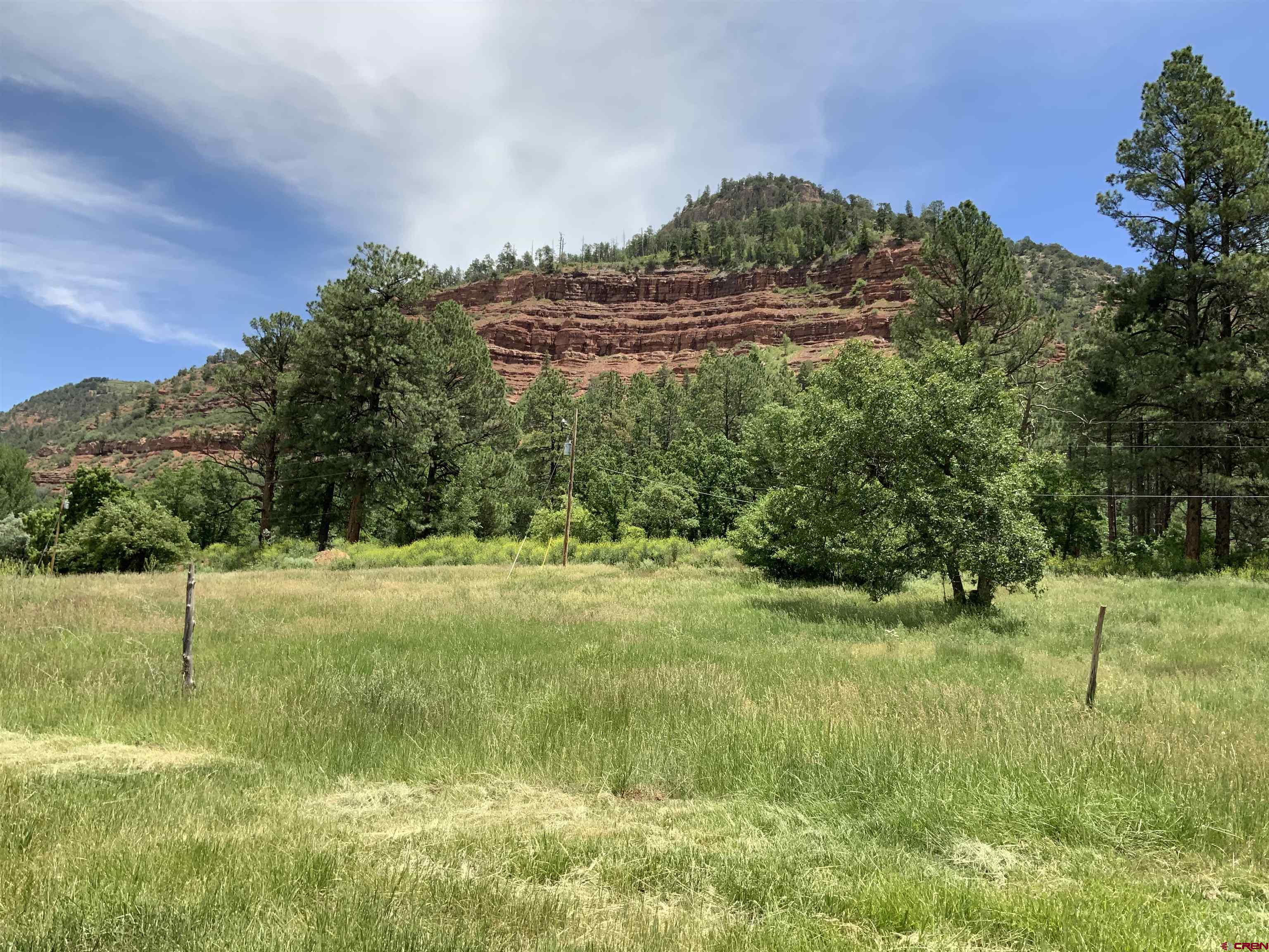 3705 County Road 250 Durango, CO 81301 - Photo 19 of 34