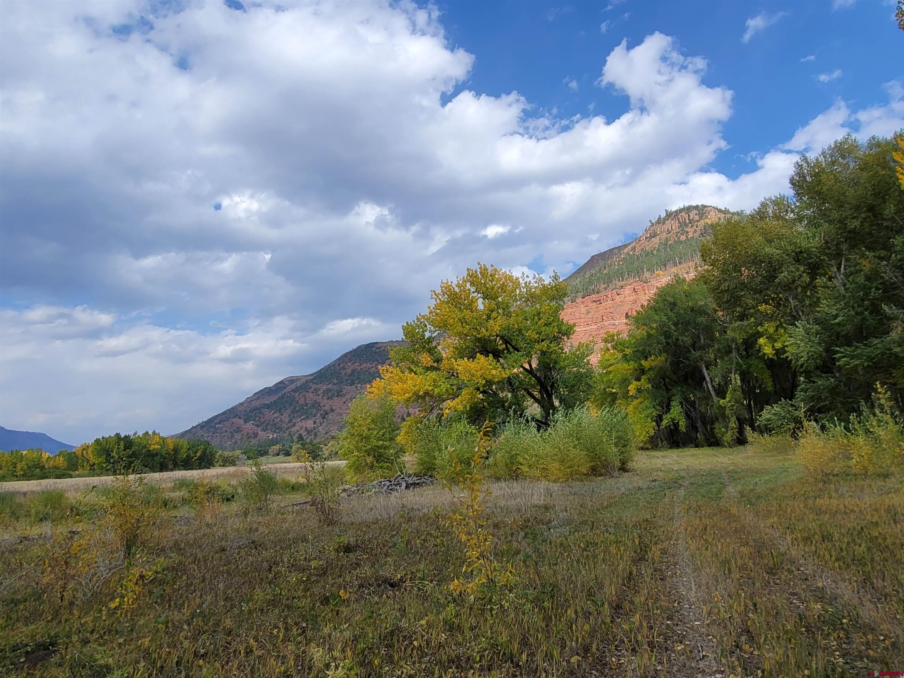 3705 County Road 250 Durango, CO 81301 - Photo 25 of 34