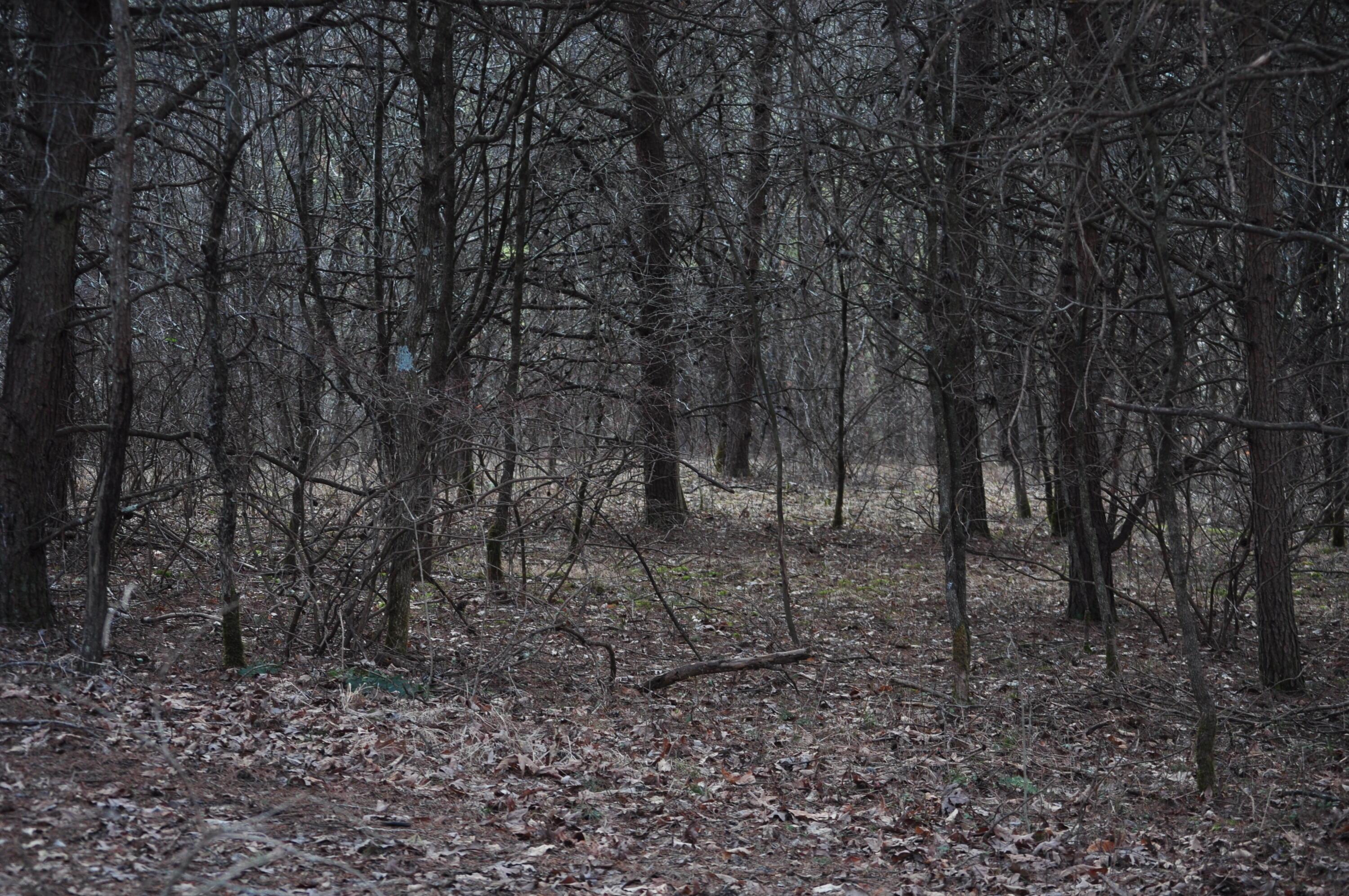 22808 Griffith Road Logan, OH 43138 - Photo 19 of 28 DSC_0318