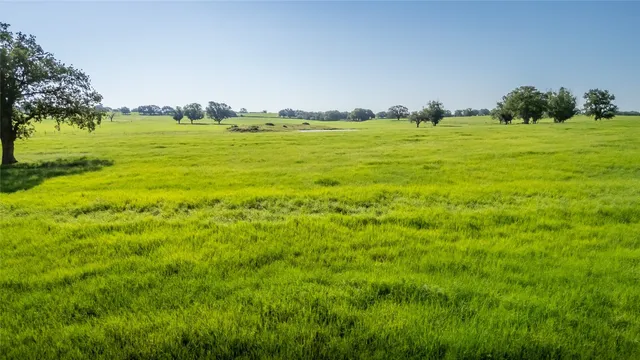 a view of a big yard with lots of green space and houses in the back