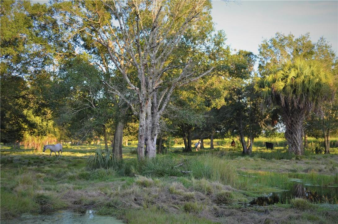 Midway Road Fort Pierce, FL 34945 - Photo 6 of 9 Photo 6