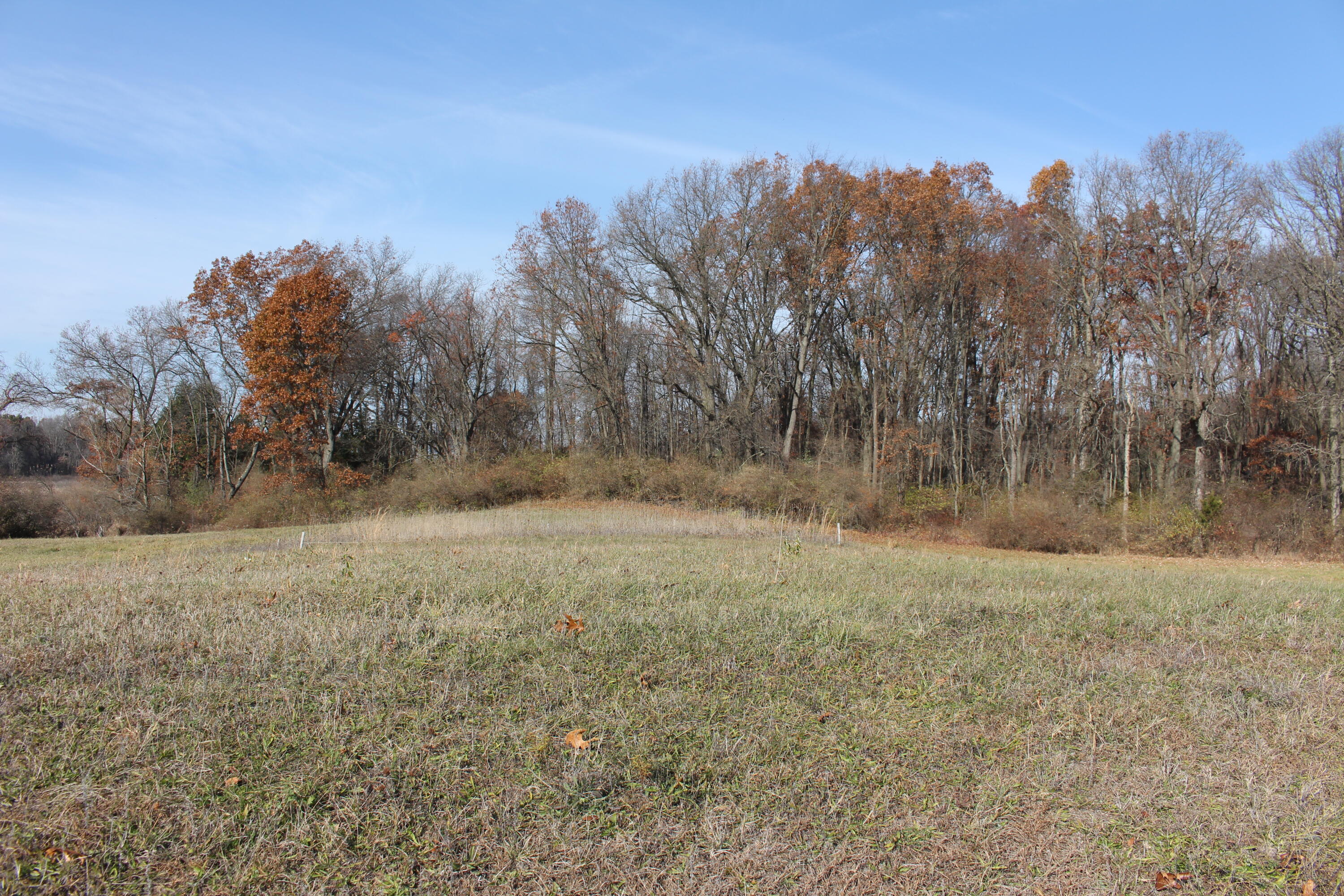 0 Riethmiller Road Grass Lake, MI 49240 - Photo 1 of 5 IMG_5858