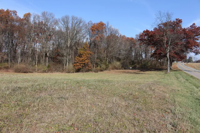 $139,900 | 0 Riethmiller Road, Grass Lake, MI 49240