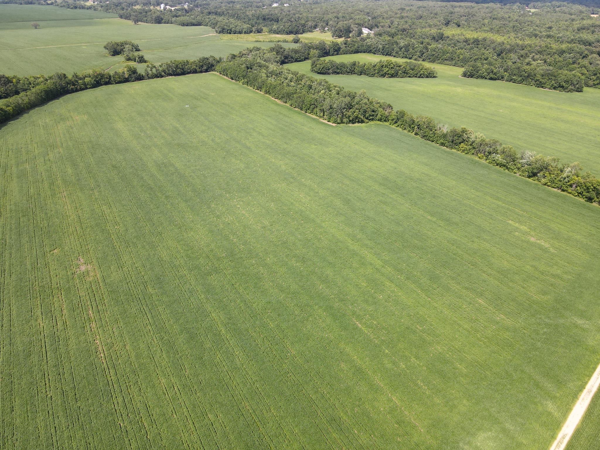859 Cravens Road Savannah, TN 38372 - Photo 21 of 40 a view of a field with an ocean