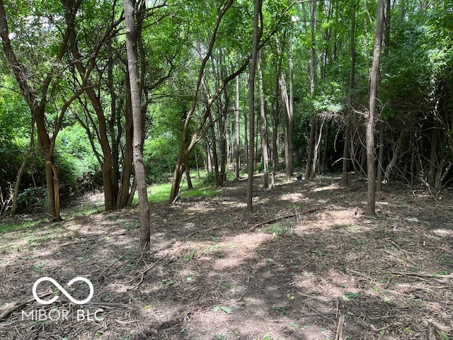 7843 South Georgetown Road Nineveh, IN 46164 - Photo 2 of 5