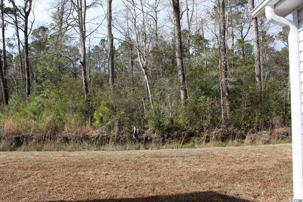 570 Whiddy Loop Conway, SC 29526 - Photo 22 of 34 Gallery Image 22