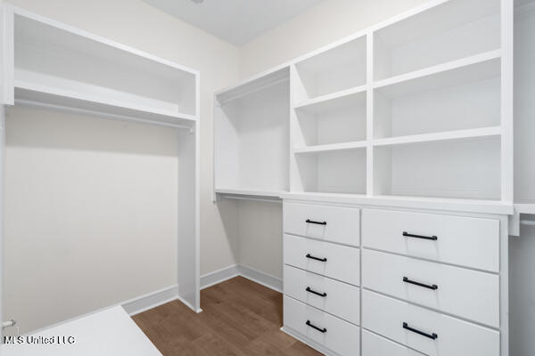 14317 Hidden Loop Byhalia, MS 38611 - Photo 23 of 40 60-primary closet