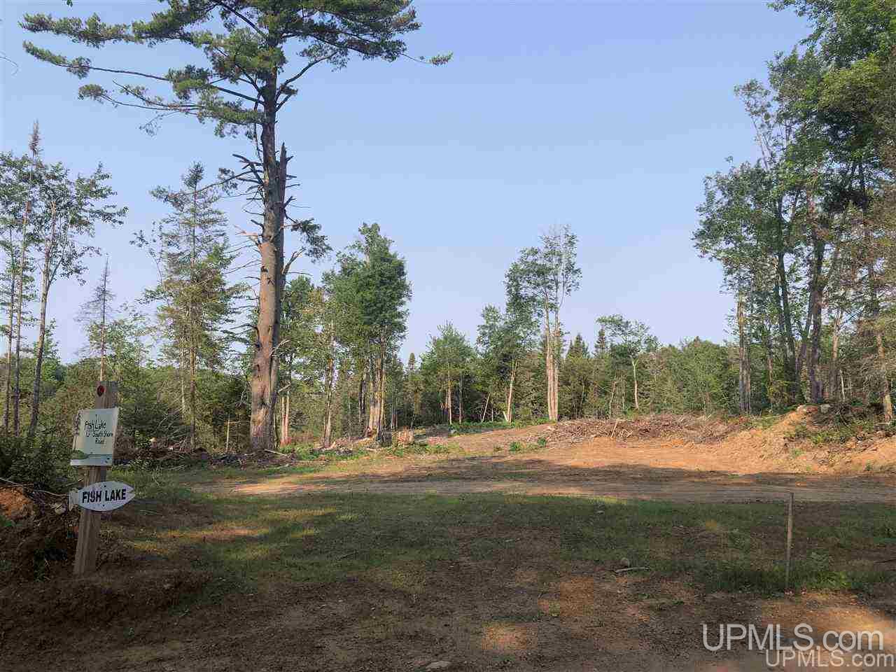 Tbd Fish Lake Road Champion, MI 49814 - Photo 2 of 5 Gallery Image 2