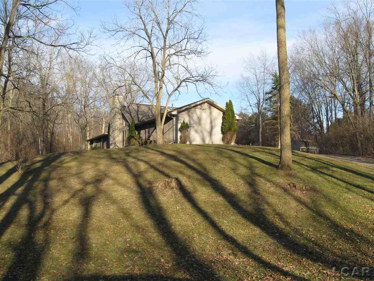 10239 Bridge Road Onsted, MI 49265 - Photo 22 of 25