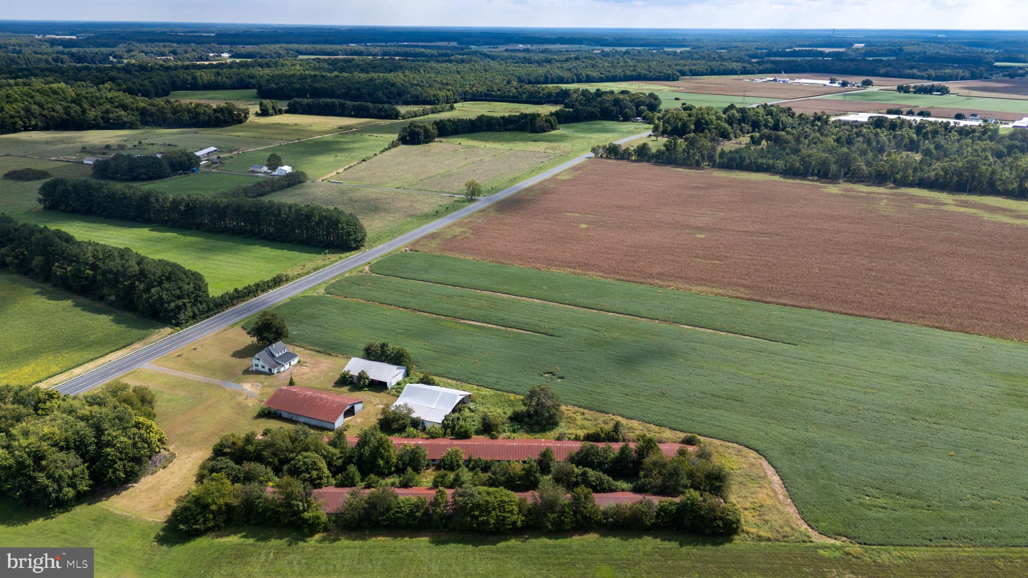 25699 Auction Road Federalsburg, MD 21632 - Photo 38 of 44 Gallery Image 38