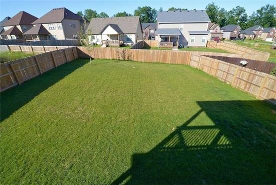 1459 Raven Road Clarksville, TN 37042 - Photo 17 of 19 Backyard