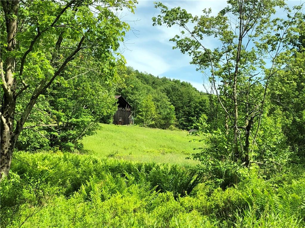 115 Hammer Road Callicoon, NY 12723 - Photo 1 of 1 Gallery Image 1