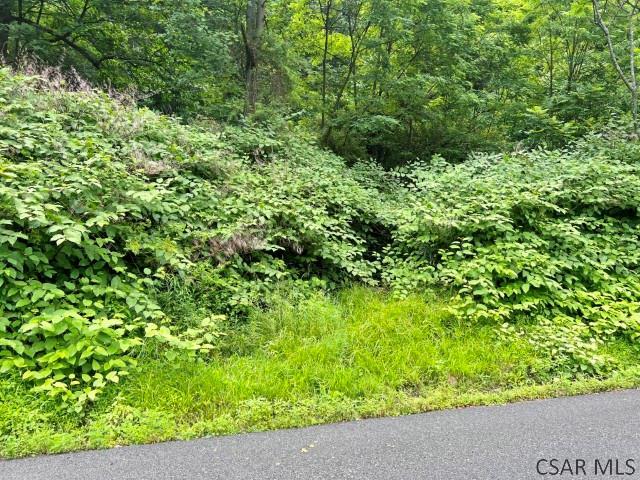 Moonshine Hollow Road Johnstown, PA 15905 - Photo 1 of 6