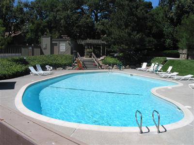 4 Linnet Court San Rafael, CA 94903 - Photo 8 of 12 a view of a swimming pool with a patio