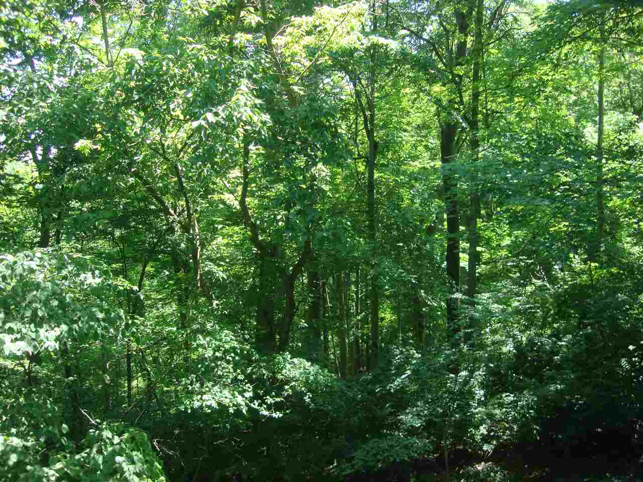 3280 North Ramble Road East, Unit EAST Bloomington, IN 47408 - Photo 5 of 26 Gallery Image 5
