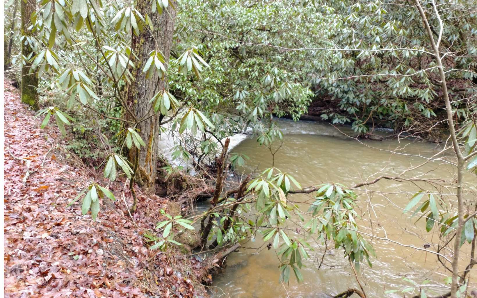 Lot 4 Kells Ridge Drive Ellijay, GA 30540 - Photo 1 of 4 Main View