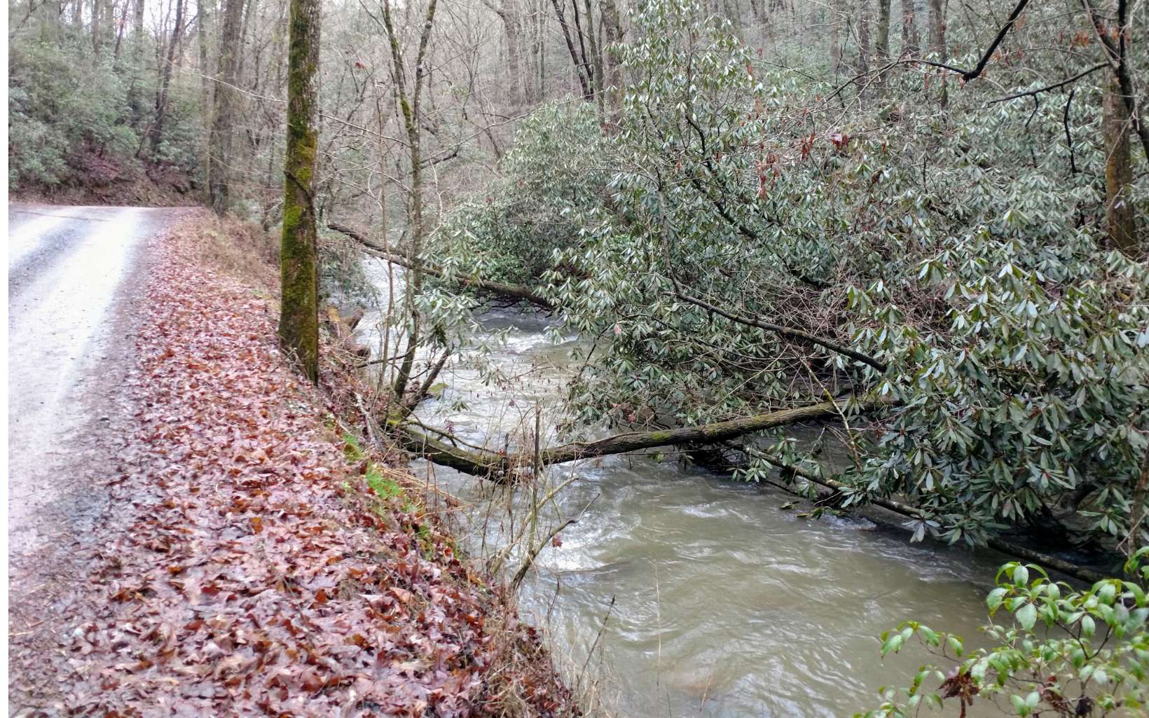 Lot 4 Kells Ridge Drive Ellijay, GA 30540 - Photo 3 of 4 Additional View