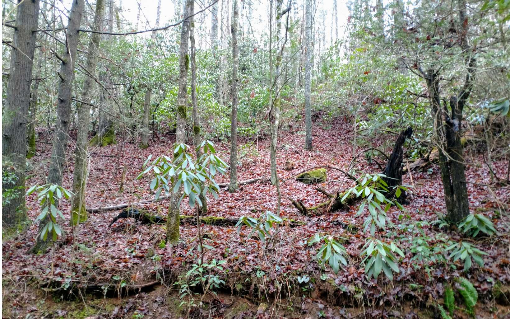 Lot 4 Kells Ridge Drive Ellijay, GA 30540 - Photo 4 of 4 Additional View