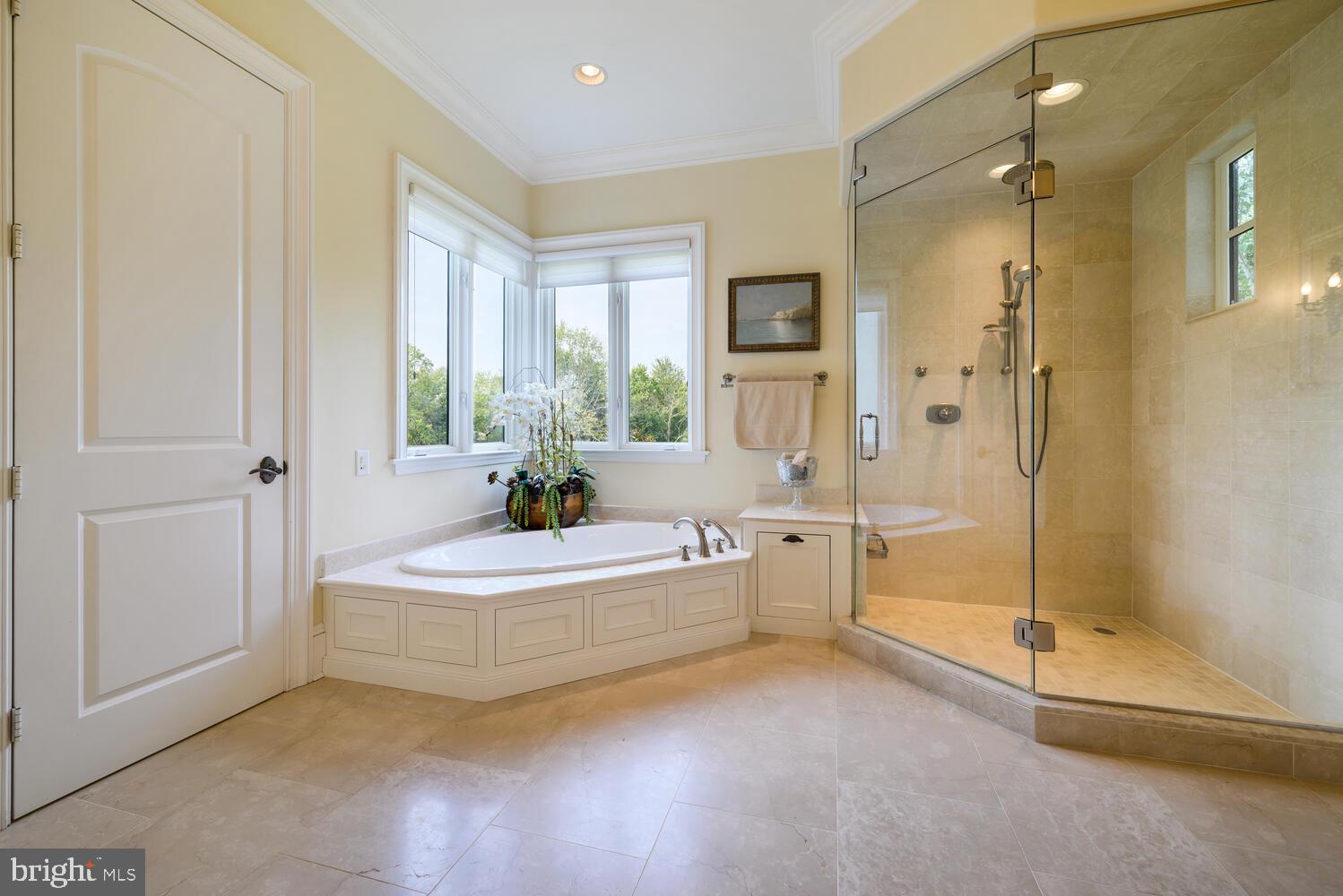 102 Grandview Avenue Hopewell, NJ 08525 - Photo 38 of 79 Master ensuite marble bathroom