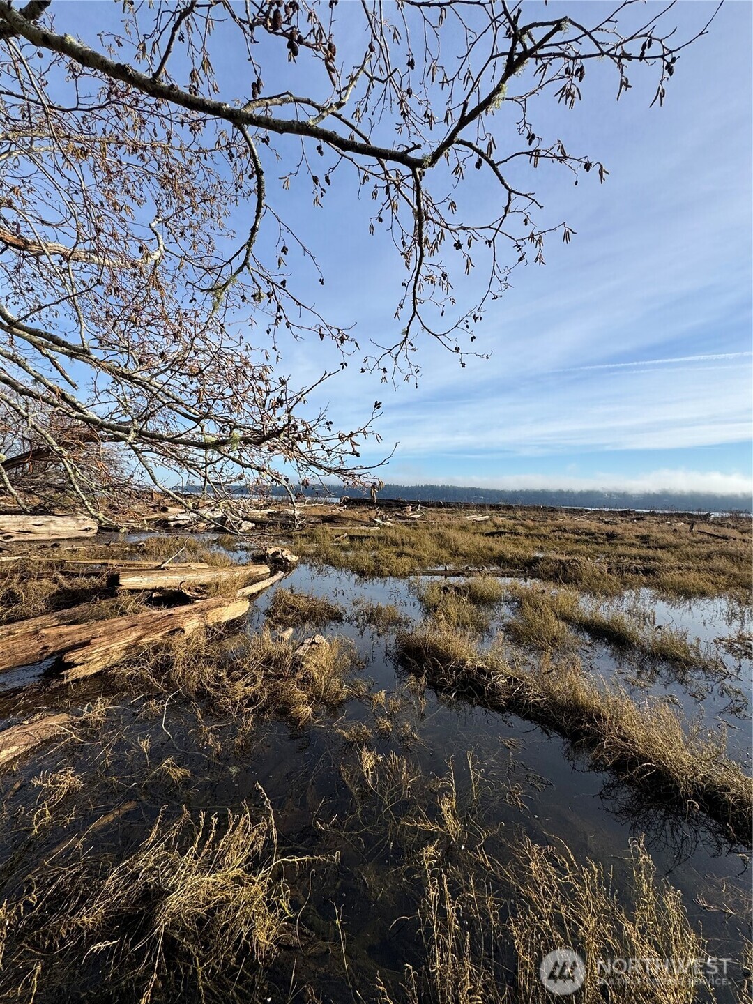 0 Hazel Point Road Quilcene, WA 98376 - Photo 2 of 8 a view of a yard