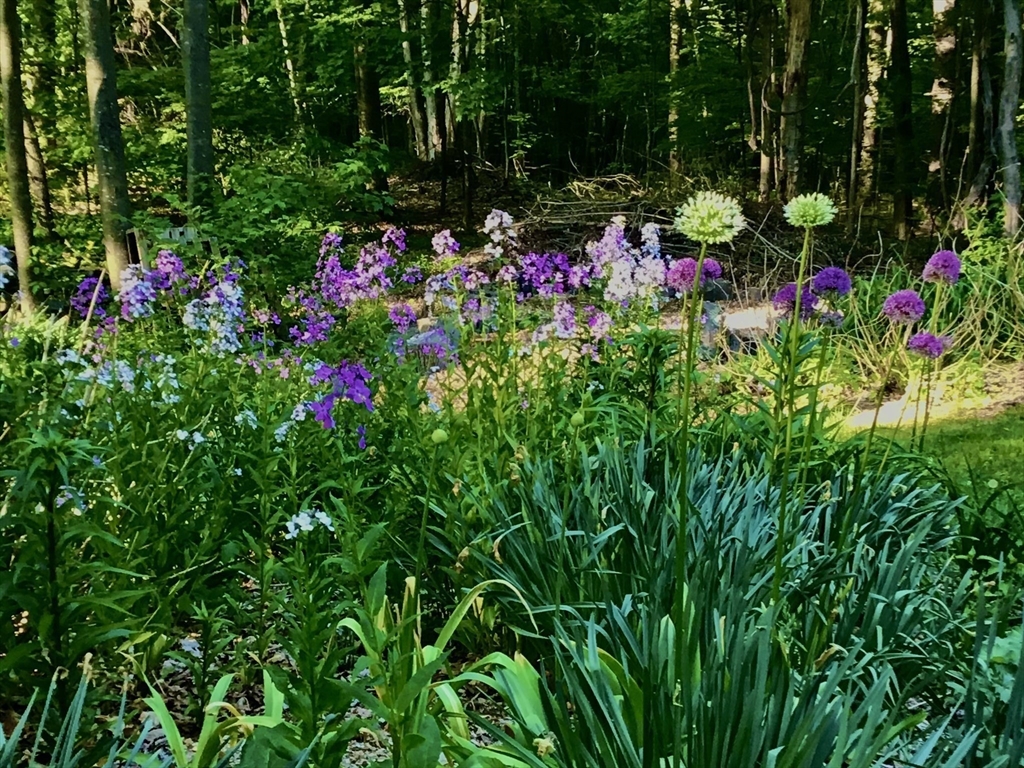 9 Spaulding Road Shirley, MA 01464 - Photo 38 of 42