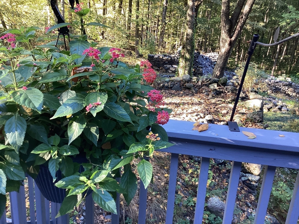 9 Spaulding Road Shirley, MA 01464 - Photo 39 of 42