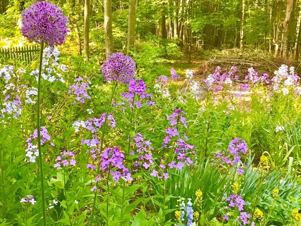 9 Spaulding Road Shirley, MA 01464 - Photo 40 of 42