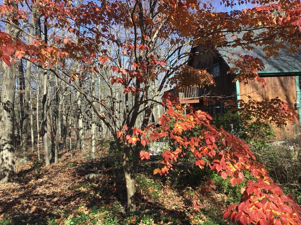 9 Spaulding Road Shirley, MA 01464 - Photo 41 of 42