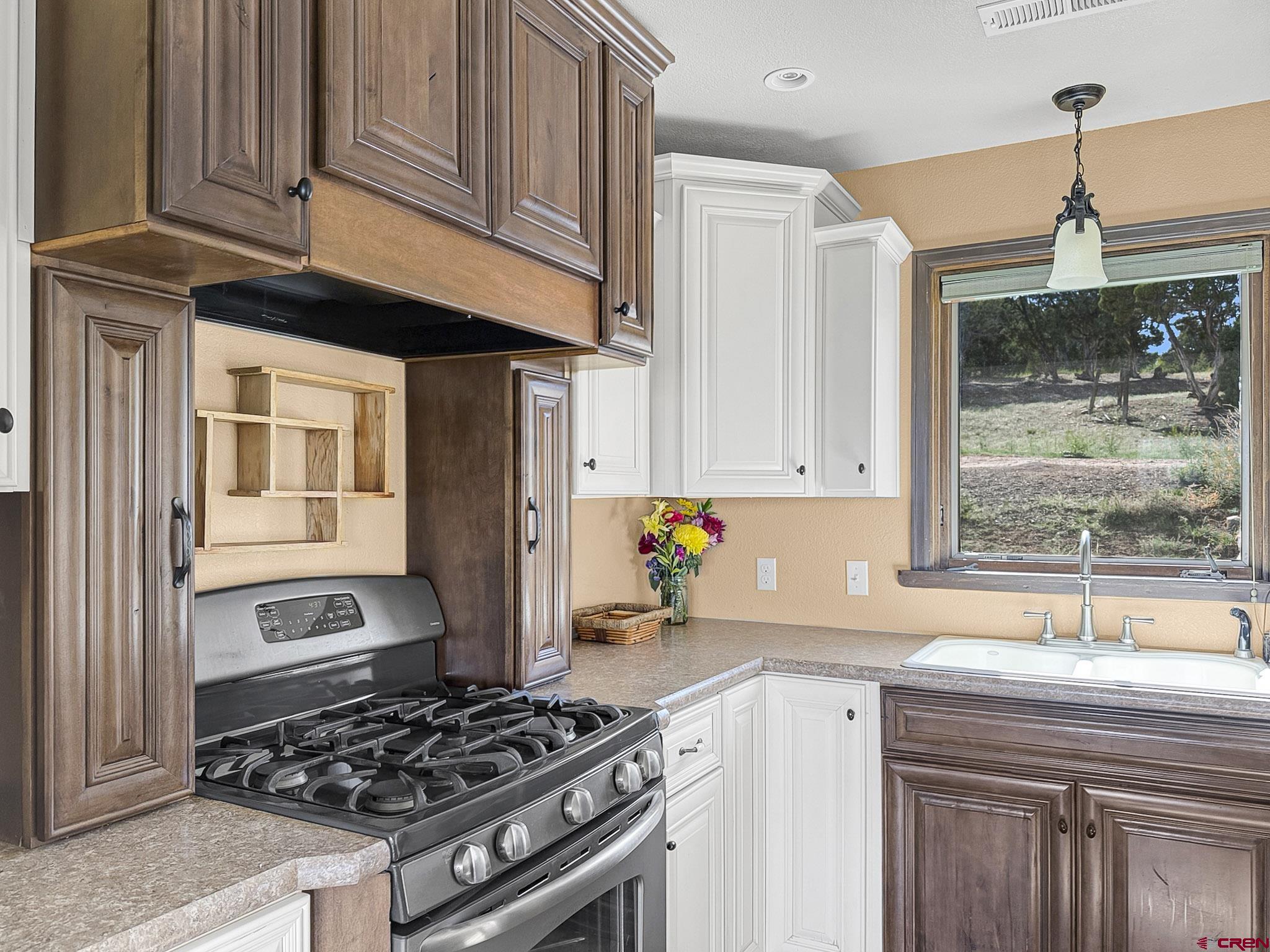 32310 B50 Road Crawford, CO 81415 - Photo 16 of 45 a kitchen with stainless steel appliances granite countertop a stove and a sink