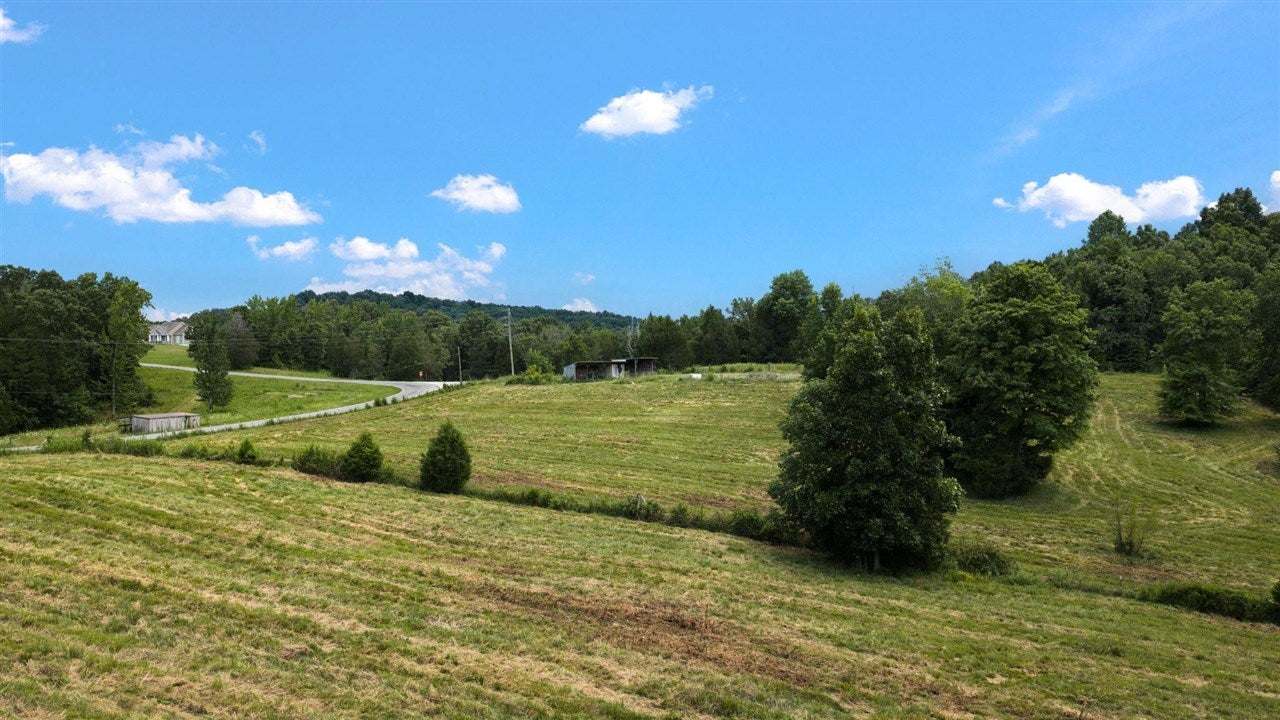 146 Mercer Road Bowling Green, KY 42101 - Photo 11 of 38 Gallery Image 11